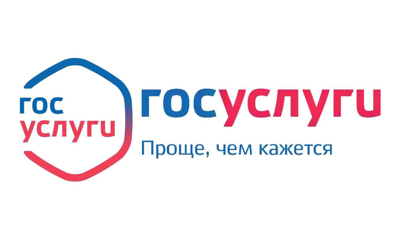 Госуслуги в электронном виде 