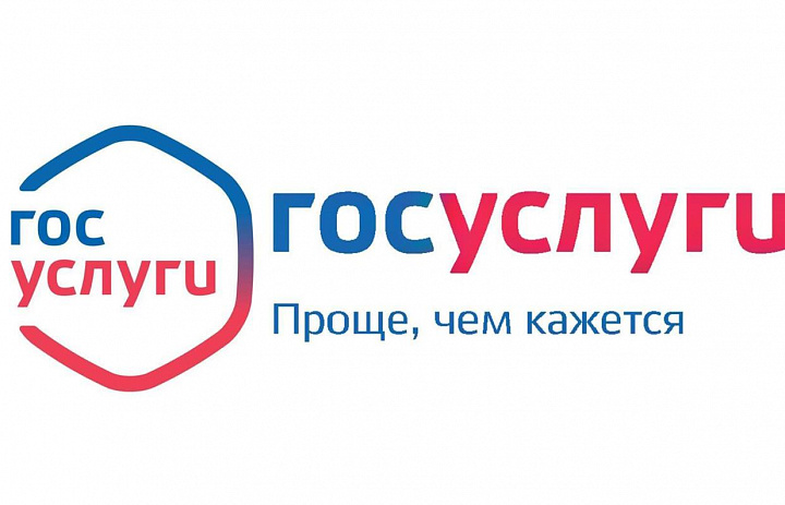Госуслуги в электронном виде 