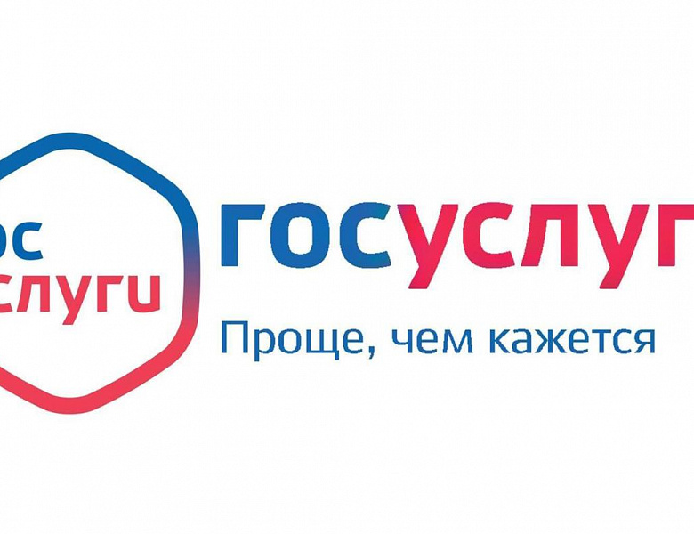 Госуслуги в электронном виде 